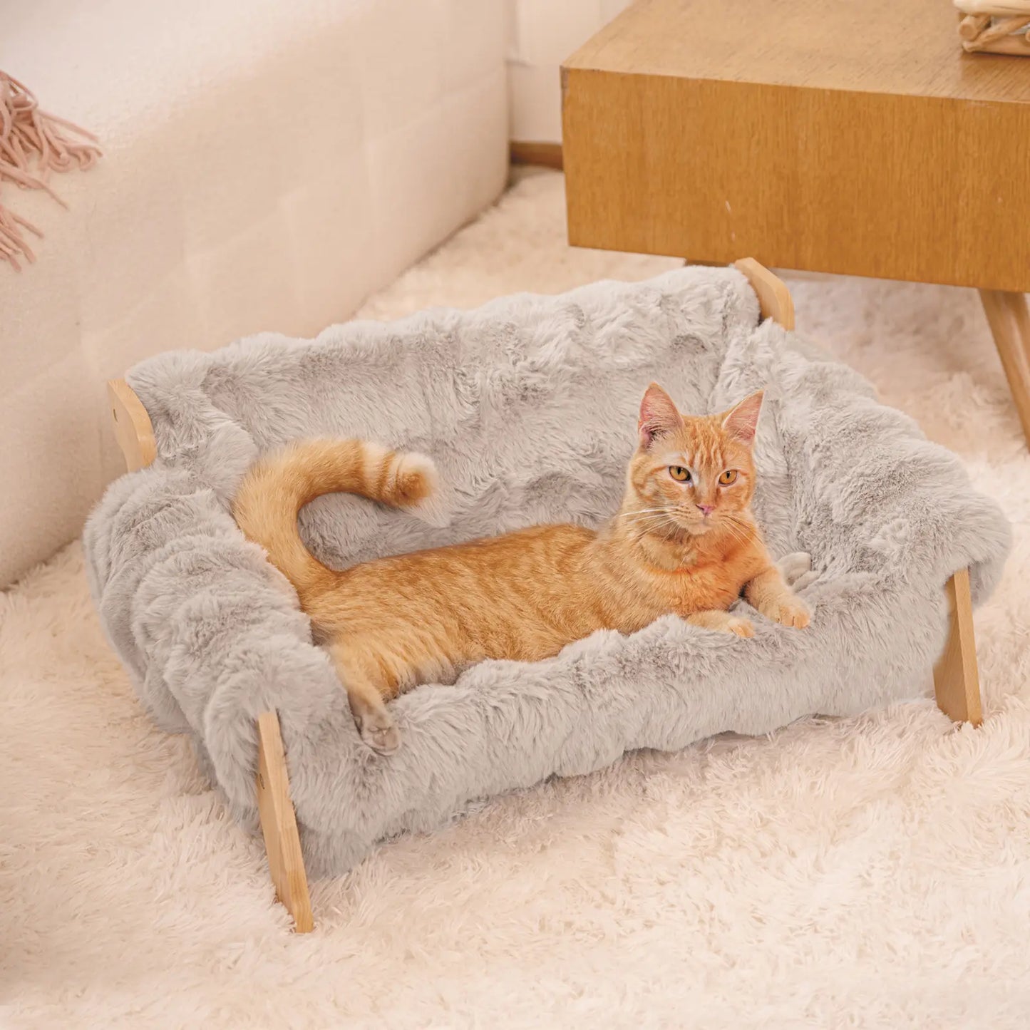 Elevated Wooden Pet Bed for Cats & Small Dogs | Washable Cushion Sofa