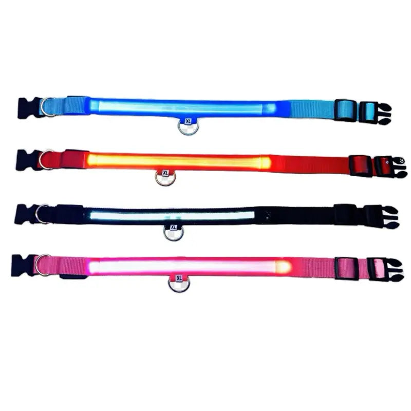 Rechargeable LED Light Up Dog Collar for Night Safety