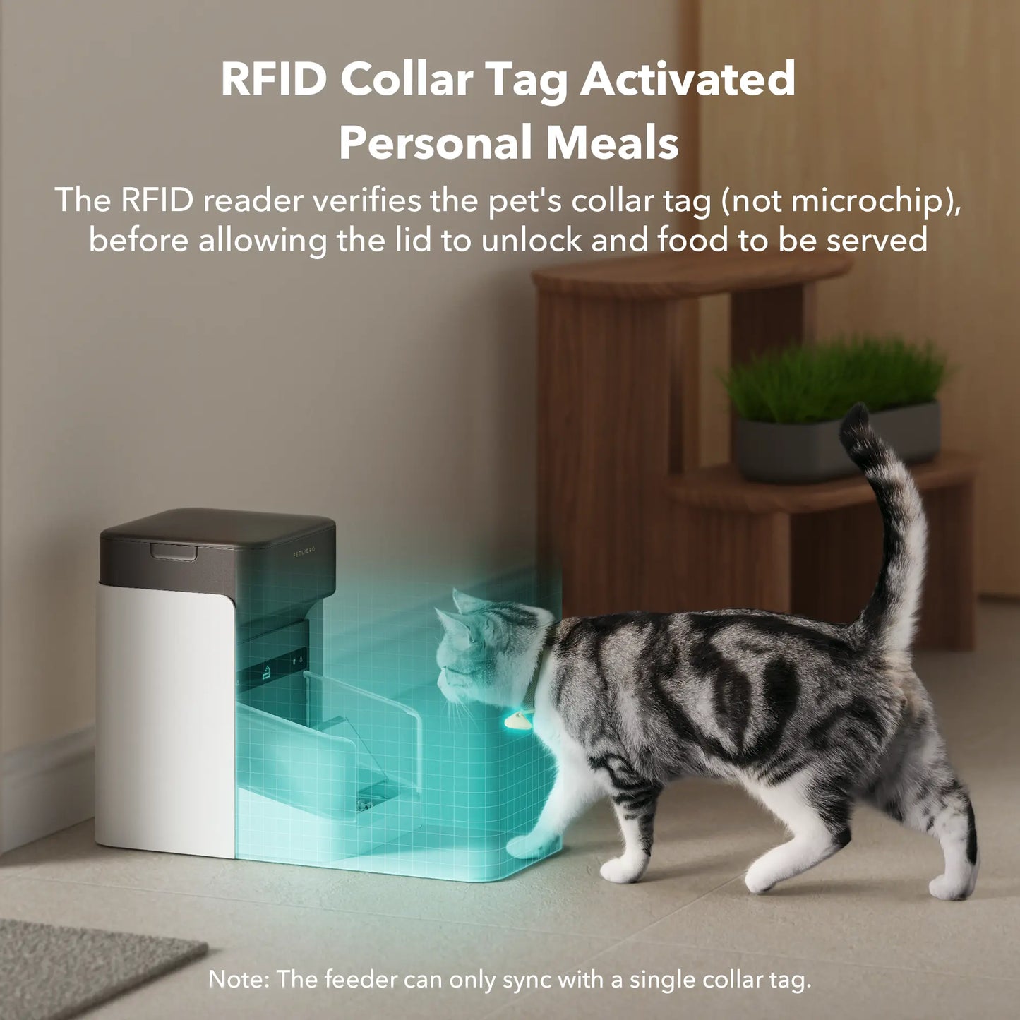 PETLIBRO RFID Automatic Cat Feeder with App Control & 3L Capacity