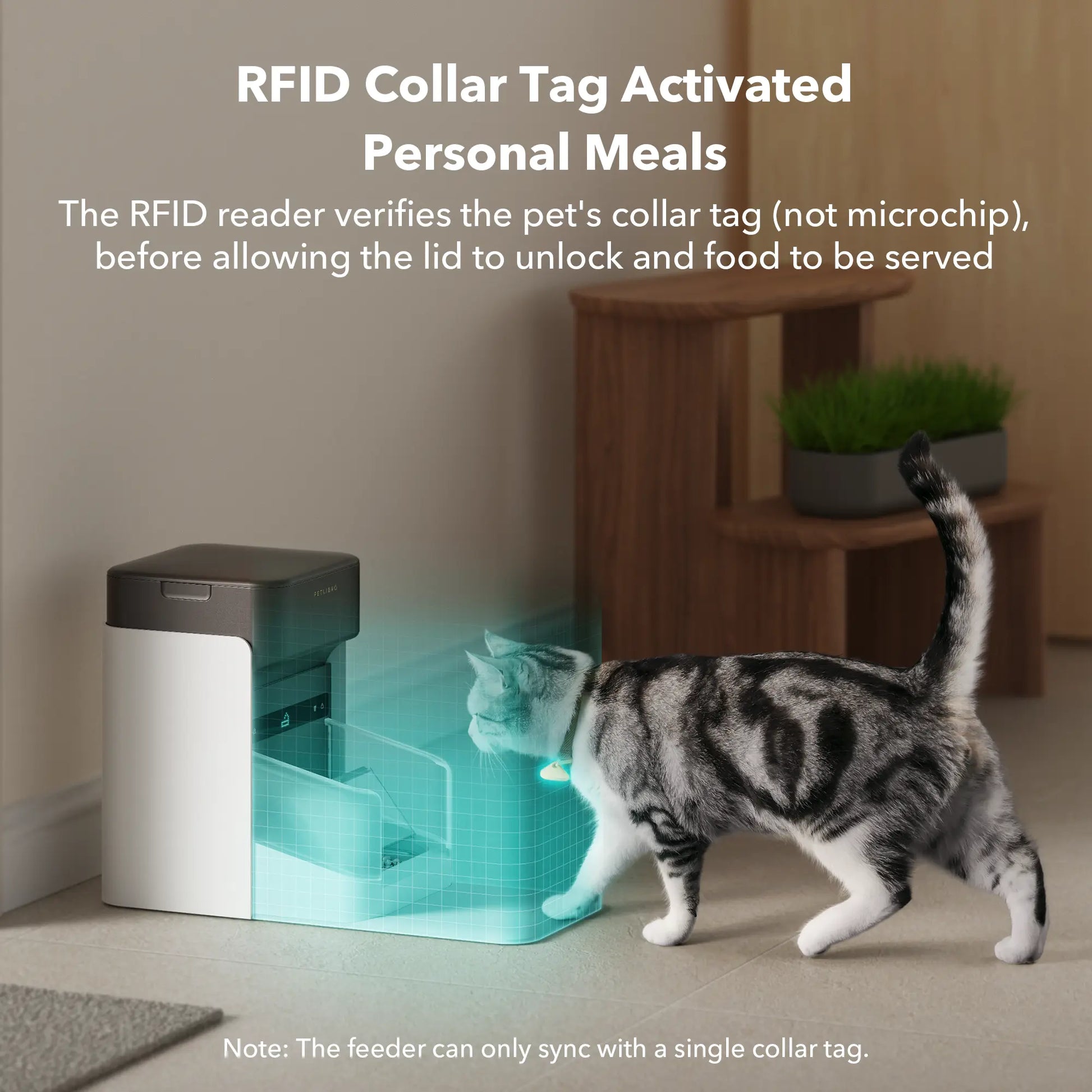 PETLIBRO RFID Automatic Cat Feeder with App Control & 3L Capacity