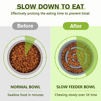 Anti-Gulp Slow Feeder Dog Bowl for Healthy Eating
