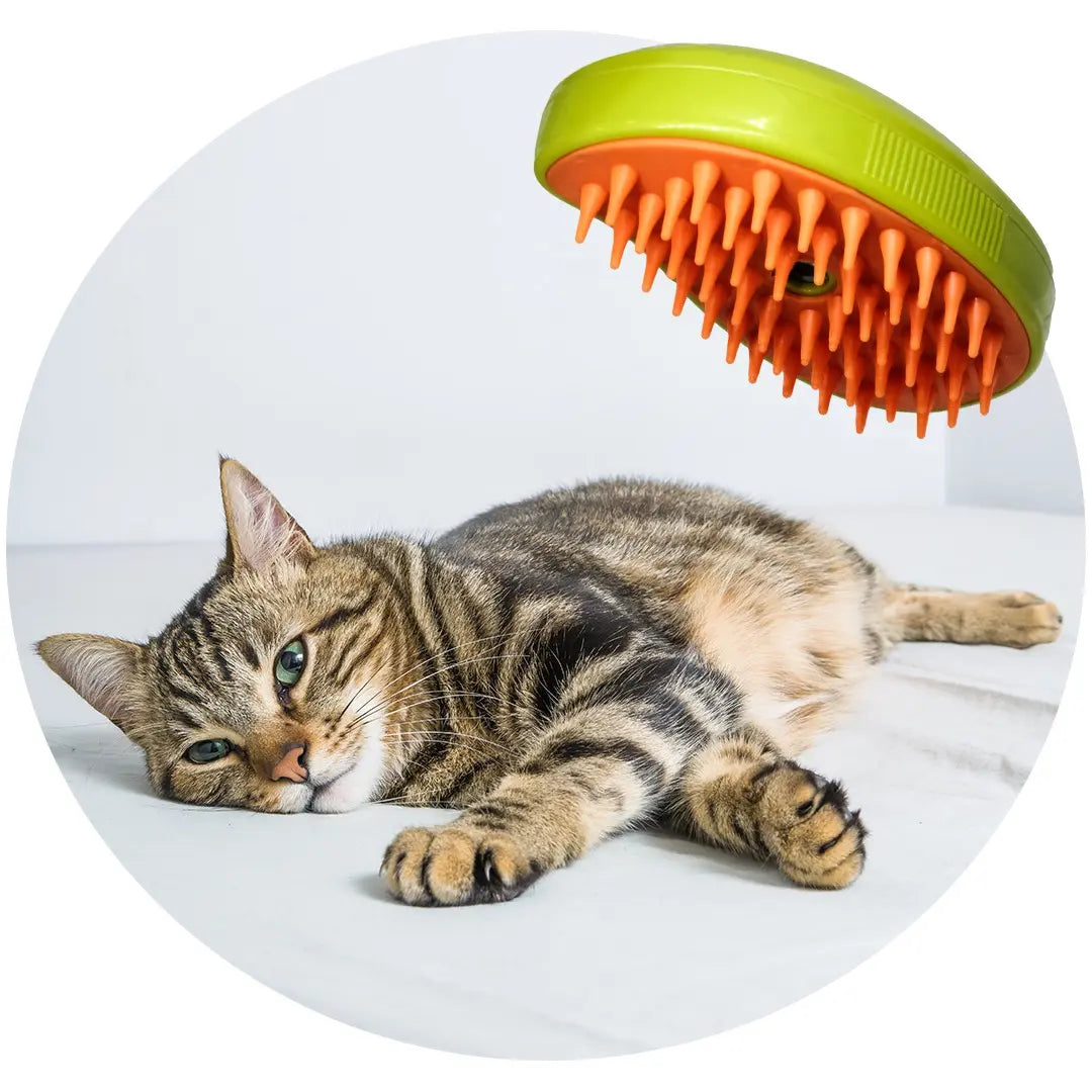 Rechargeable 3-in-1 Pet Spray Brush for Dogs & Cats