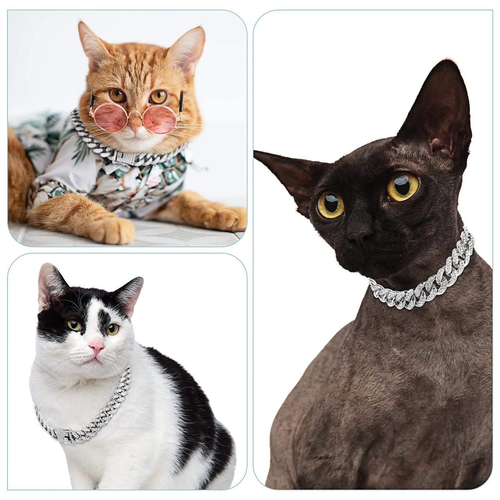 Rhinestone Cuban Style Dog Necklace for Small to Large Dogs