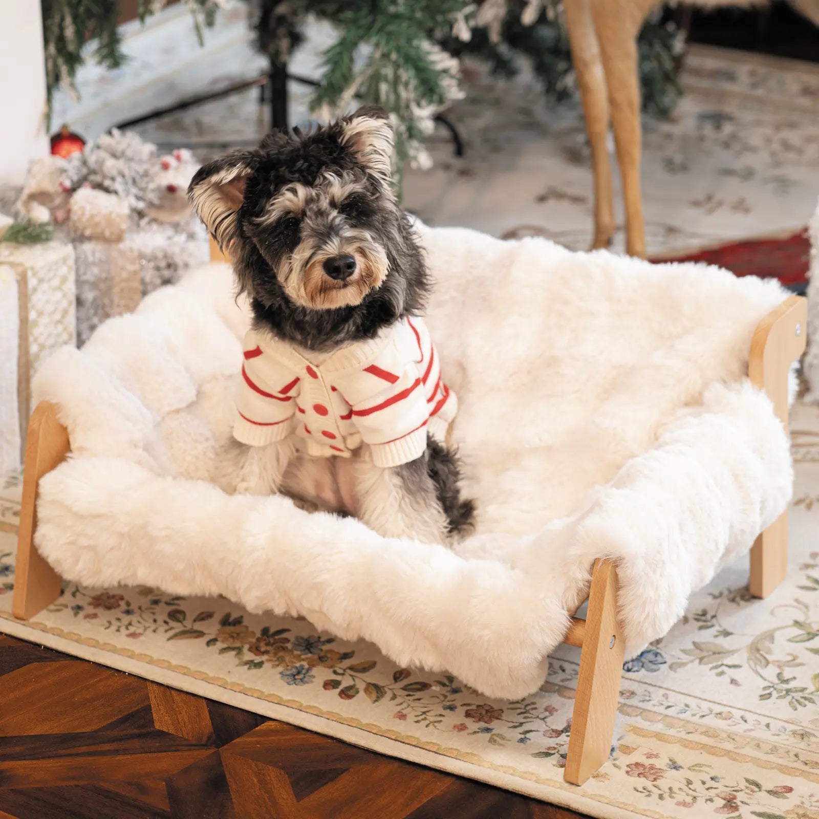 Elevated Wooden Pet Bed for Cats & Small Dogs | Washable Cushion Sofa