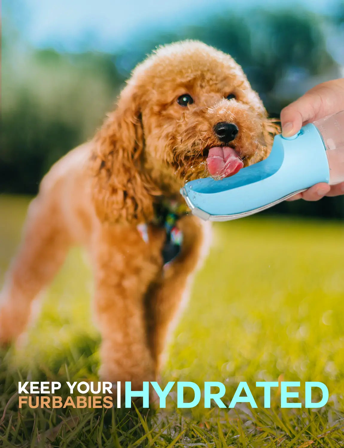 3-in-1 Portable Dog Water Bottle with Food & Waste Bag Storage