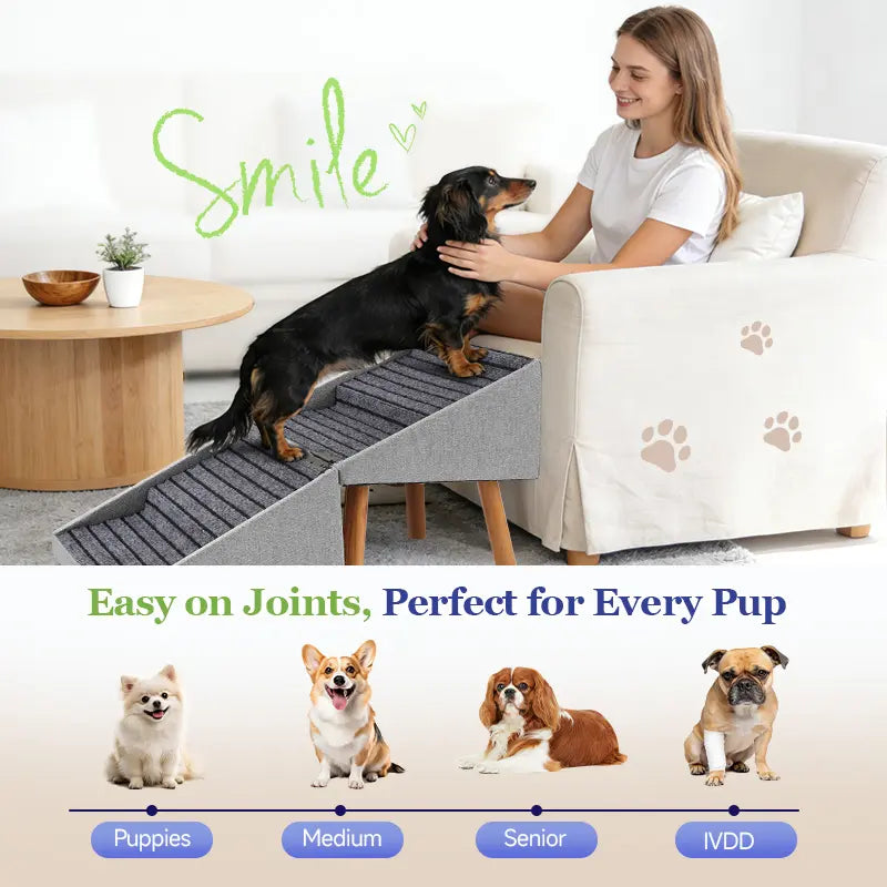 Wooden Dog Ramp Ottoman 2-in-1 Sofa Step for Pets