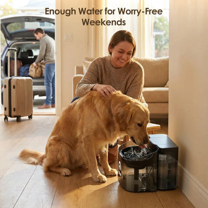 VEWO 11L Large Dog Water Fountain for Multi-Pet Homes