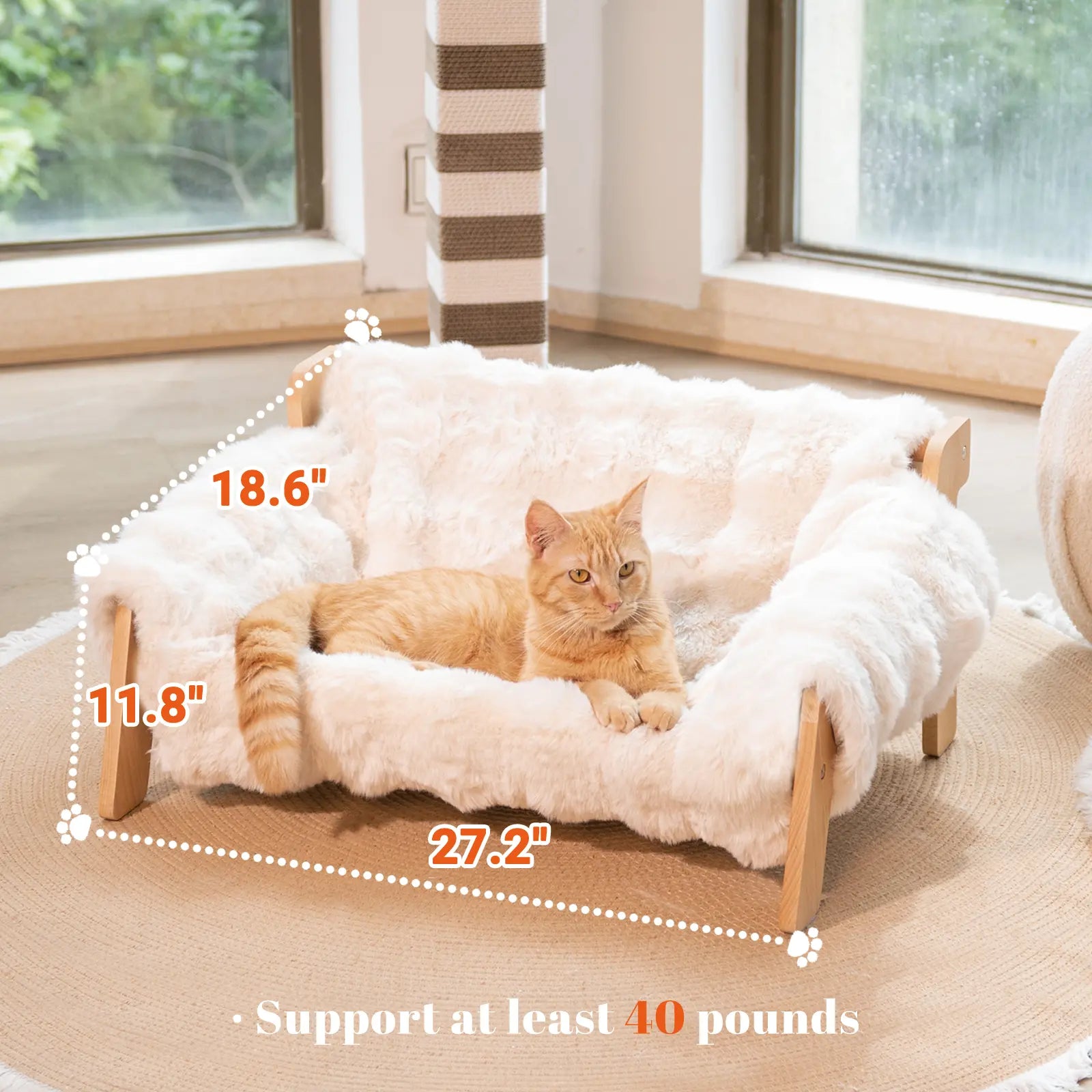 Elevated Wooden Pet Bed for Cats & Small Dogs | Washable Cushion Sofa