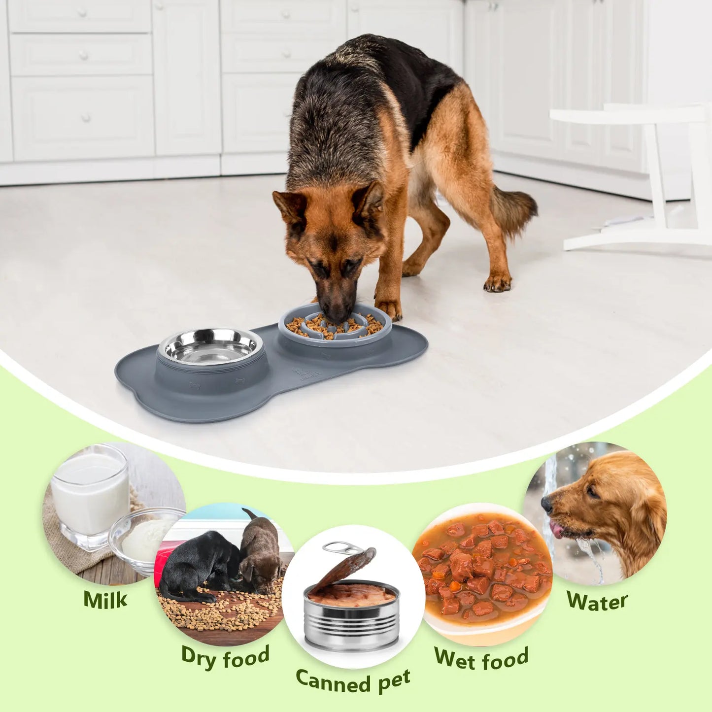 Anti-Gulp Slow Feeder Dog Bowl for Healthy Eating