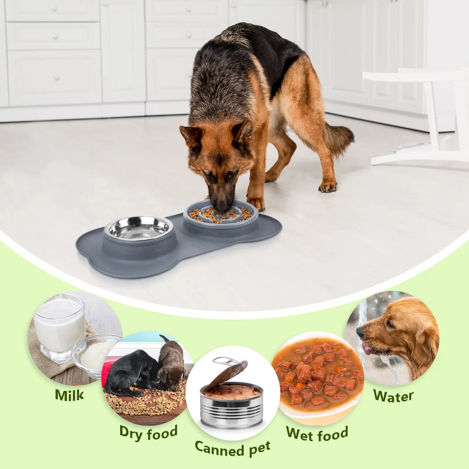 Anti-Gulp Slow Feeder Dog Bowl for Healthy Eating