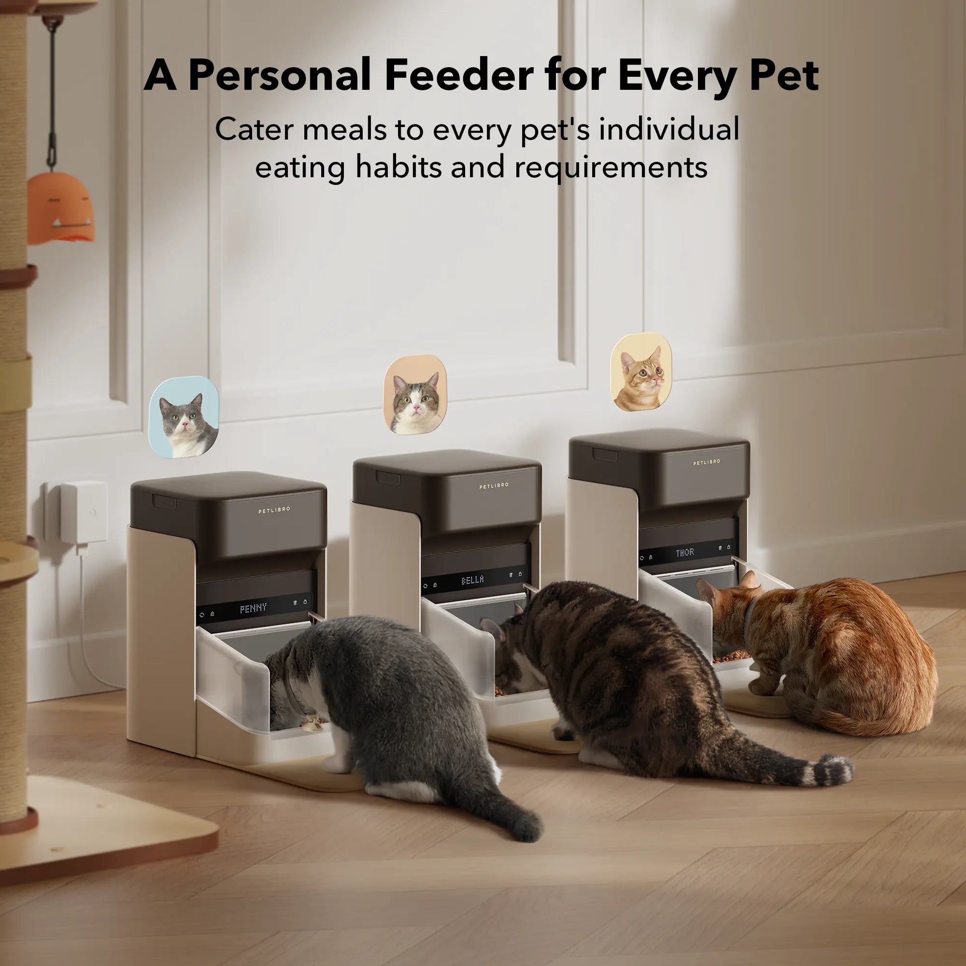 PETLIBRO RFID Automatic Cat Feeder with App Control & 3L Capacity