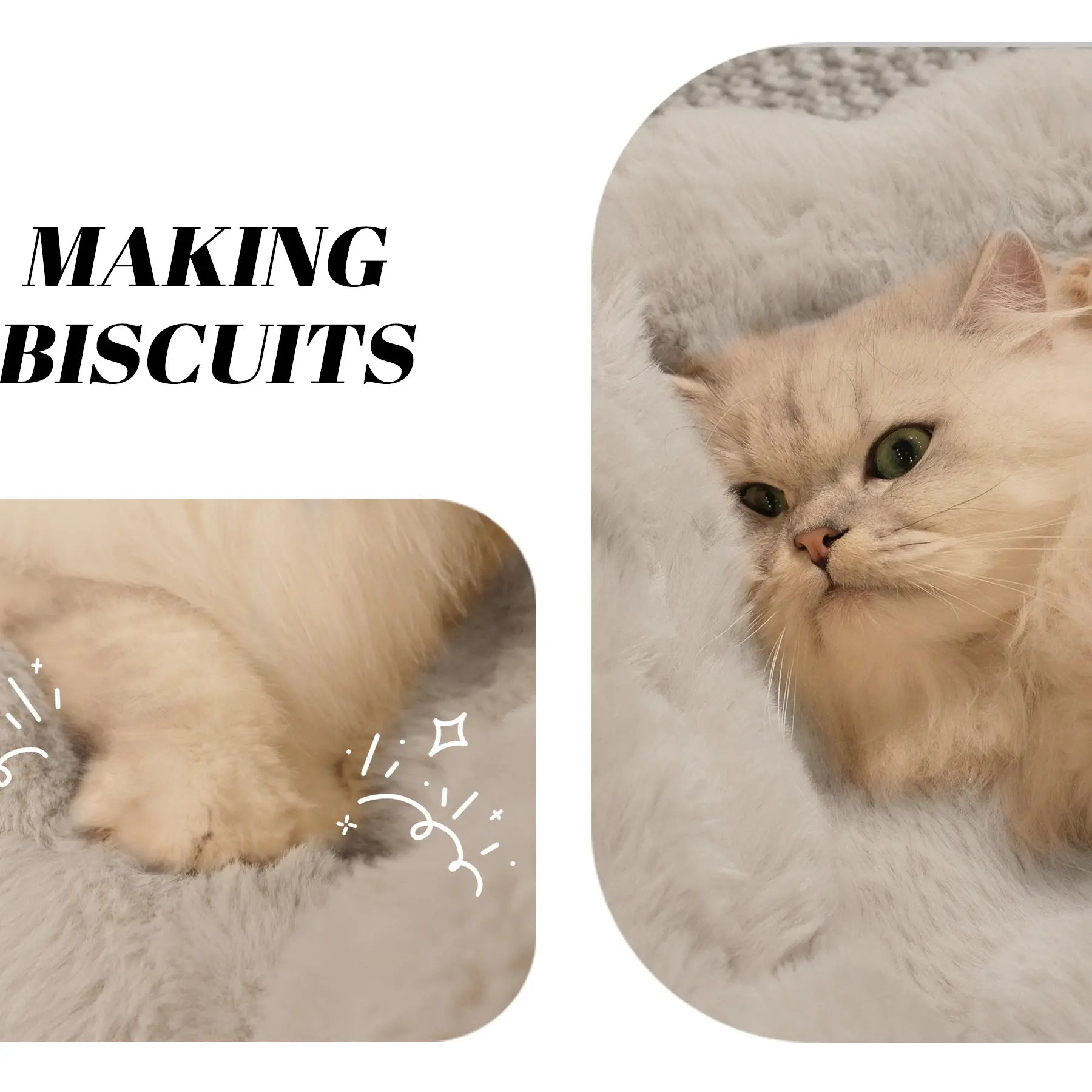Elevated Wooden Pet Bed for Cats & Small Dogs | Washable Cushion Sofa