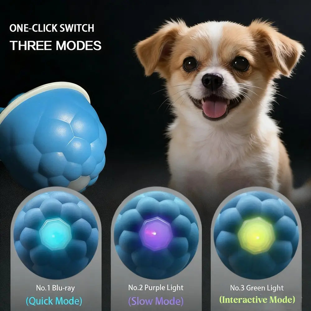 Rechargeable Smart Rolling Pet Ball Toy for Cats & Dogs