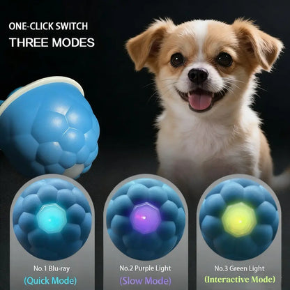 Rechargeable Smart Rolling Pet Ball Toy for Cats & Dogs