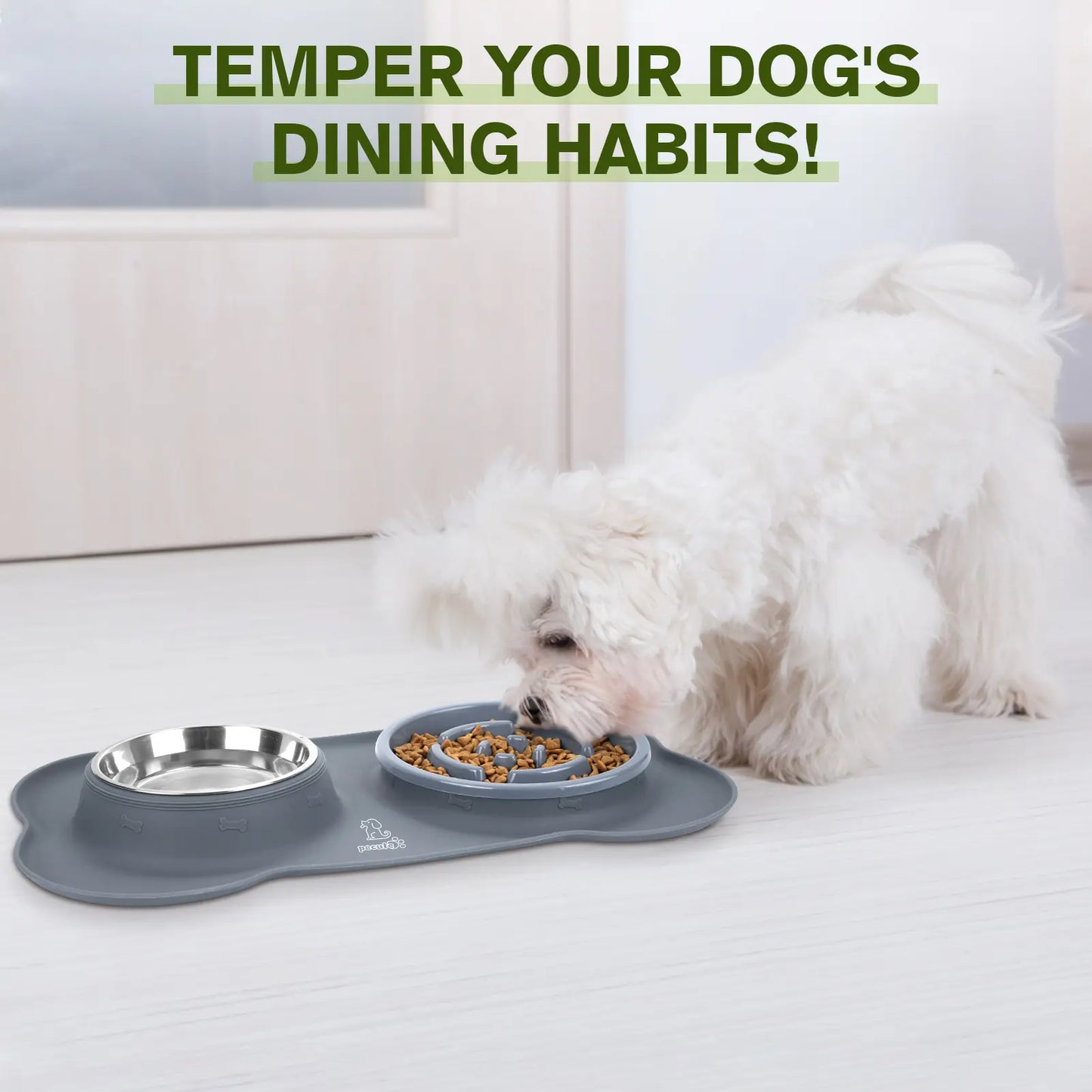 Anti-Gulp Slow Feeder Dog Bowl for Healthy Eating
