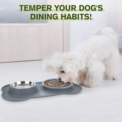 Anti-Gulp Slow Feeder Dog Bowl for Healthy Eating