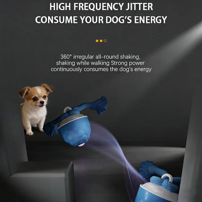 Rechargeable Smart Rolling Pet Ball Toy for Cats & Dogs