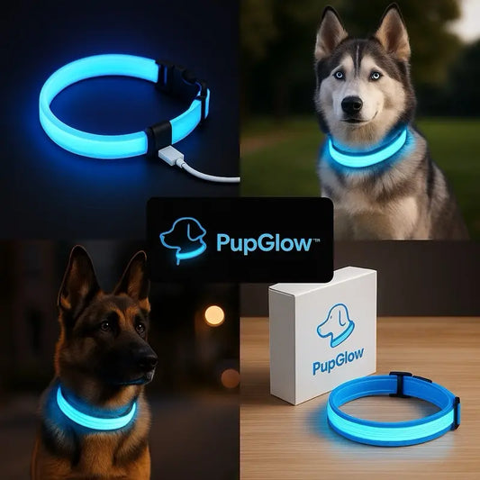 Rechargeable LED Light Up Dog Collar for Night Safety