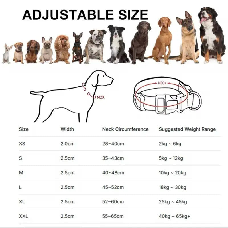 Rechargeable LED Light Up Dog Collar for Night Safety
