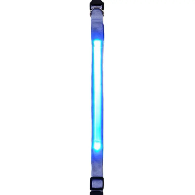 Rechargeable LED Light Up Dog Collar for Night Safety