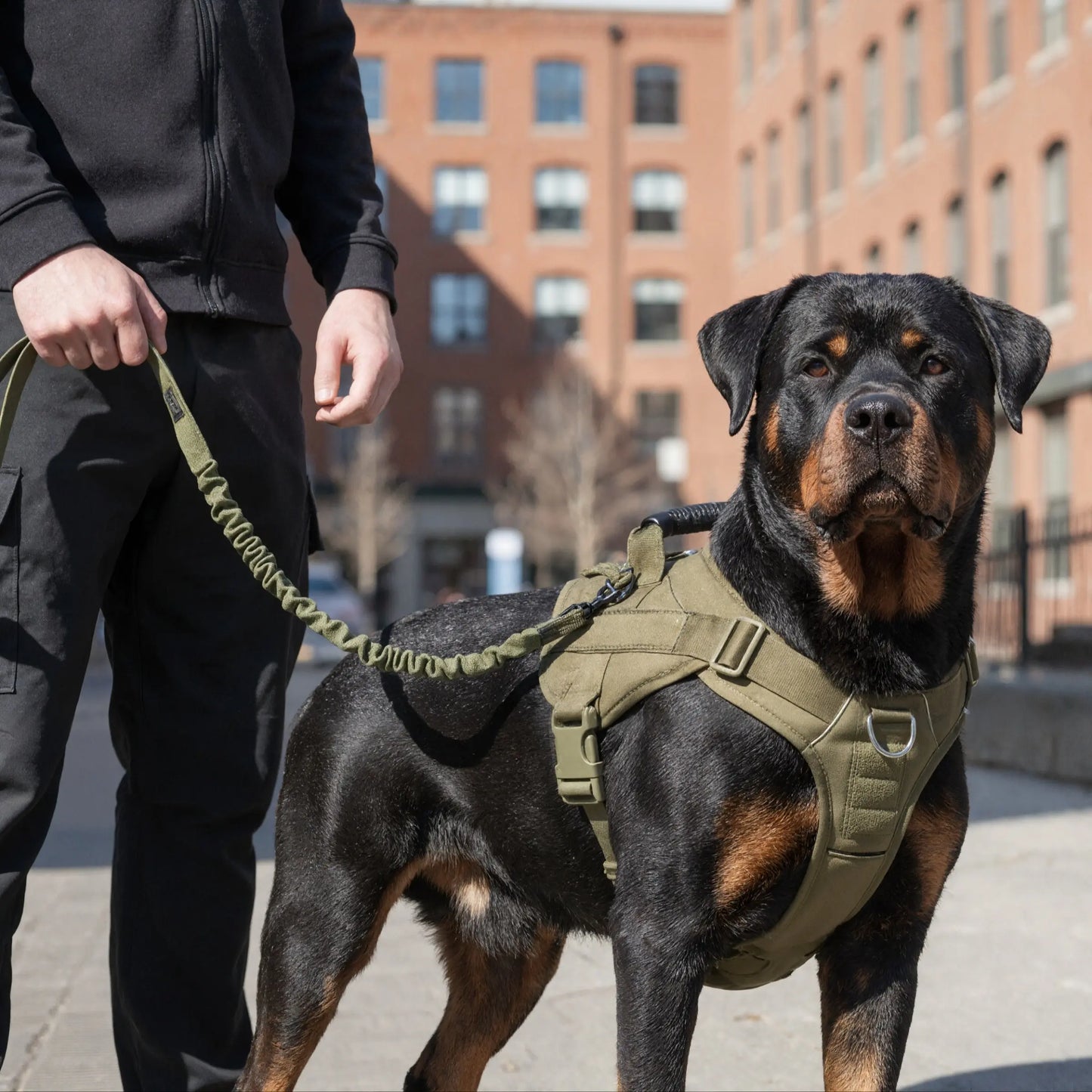 Heavy Duty Tactical Dog Harness with Reflective Straps