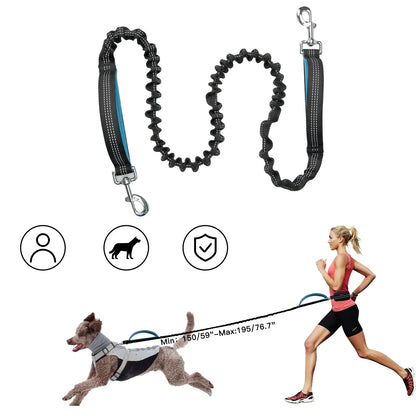 Hands-Free Dog Leash with Waist Bag & Shock Absorption System